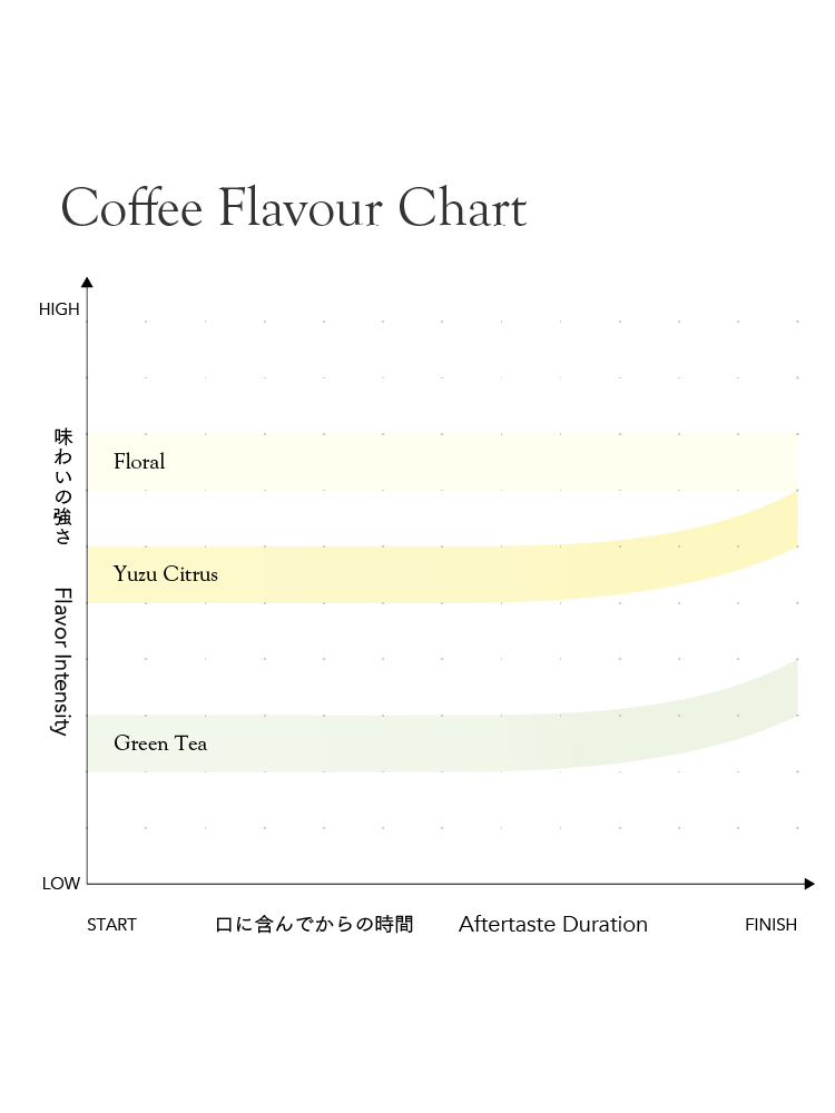 *new【Roast in Kyoto】 Honduras Marysabel Caballero Geisha