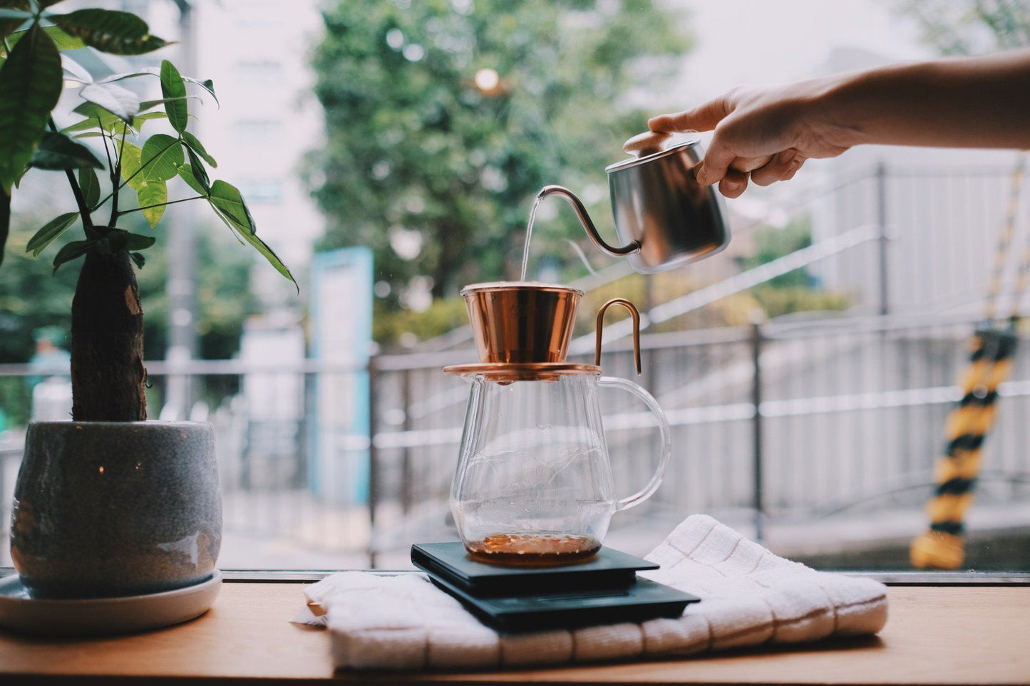 Miyaco Single Drip Kettle Kettle Miyaco