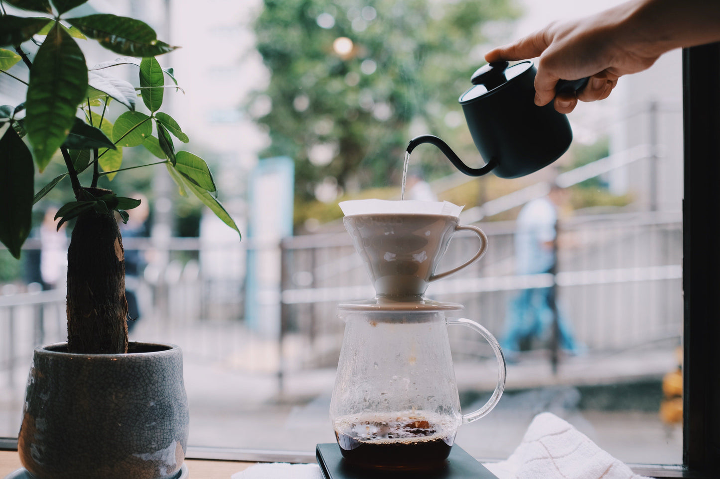 Miyaco Single Drip Kettle Kettle Miyaco