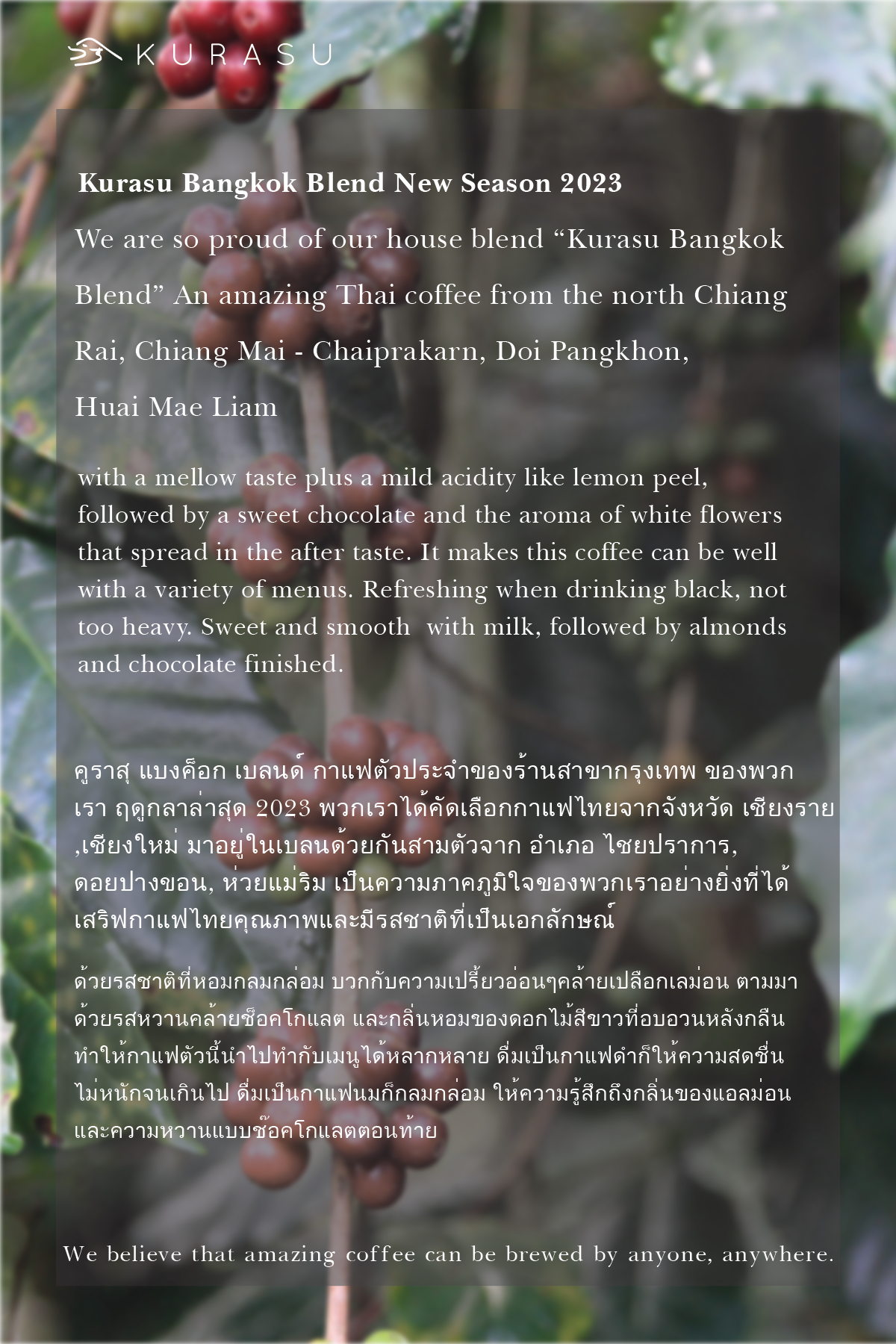 Kurasu Bangkok Blend - Light to Medium