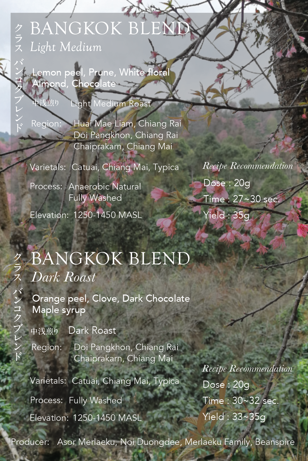 Kurasu Bangkok Blend - Light to Medium