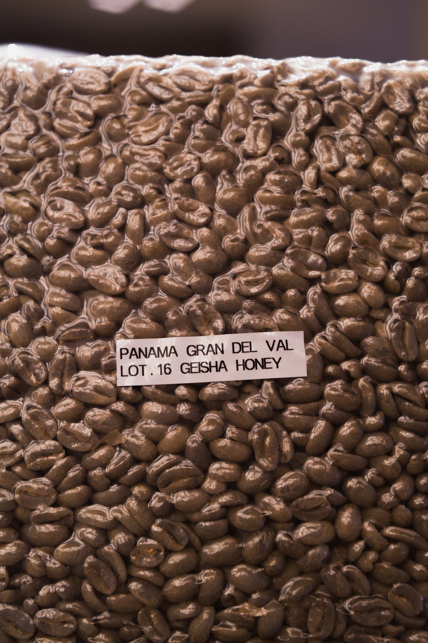 *new [Premium] Gran del Val Lot.16 Honey – Panama Geisha [light roast]