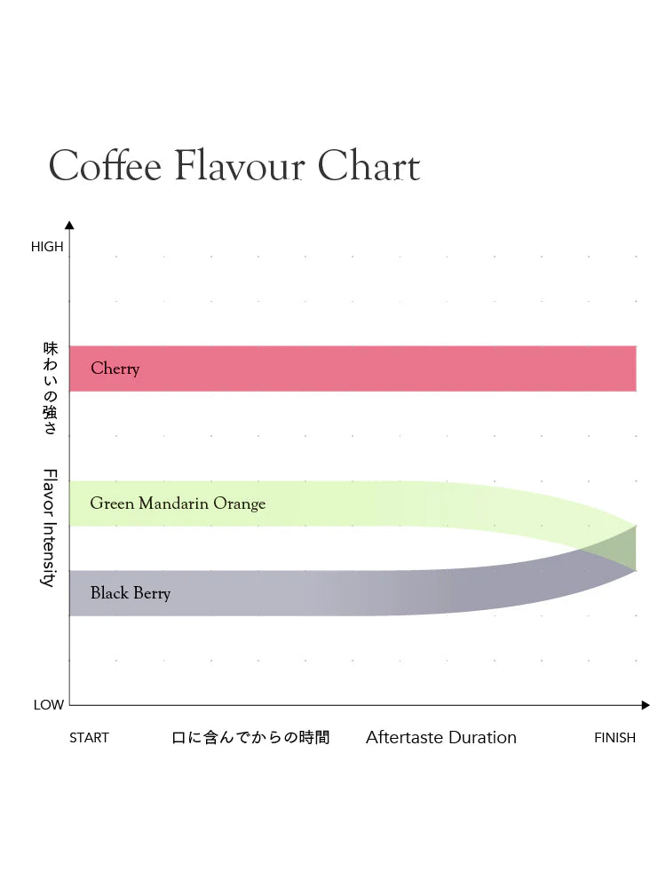 *new【Roast in Kyoto】Colombia Lisandro Quilcue [Light roast]