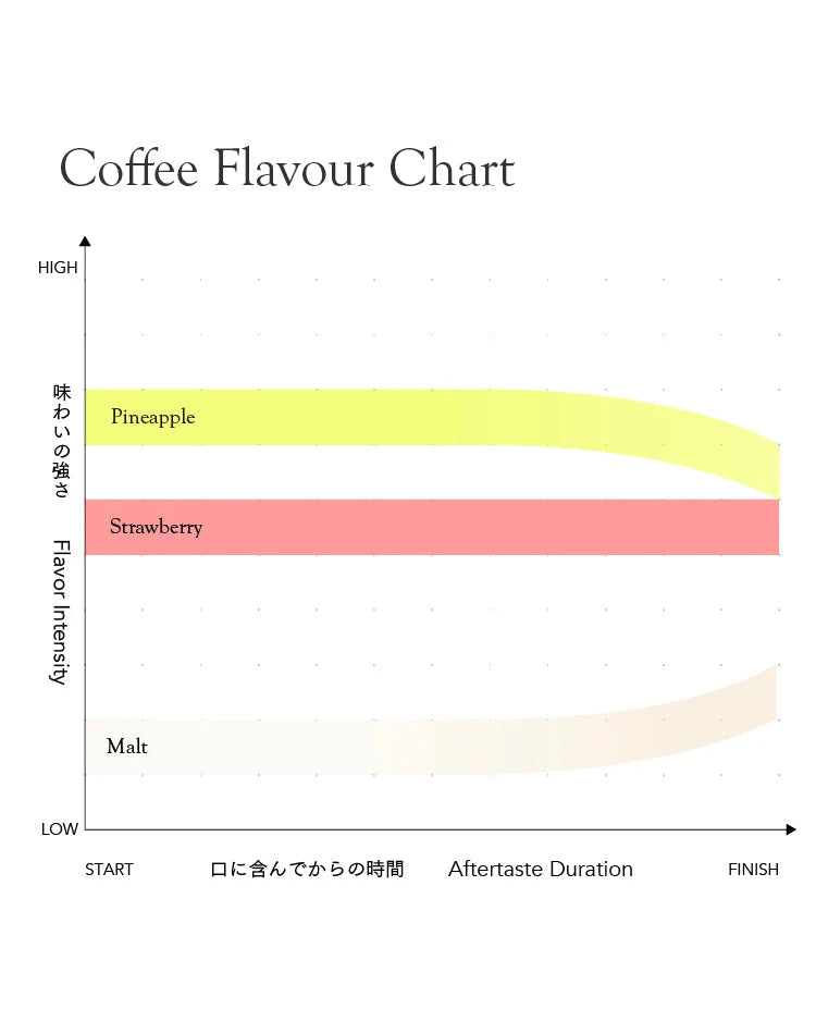 *new【Roast in Kyoto】[Premium]Colombia Oscar Hernandez Bourbon Pimienta [Light roast]
