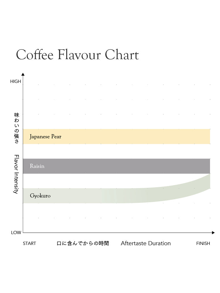 *new【Roast in Kyoto】El Salvador Emerson Vasquez Pacamara [Light Roast]