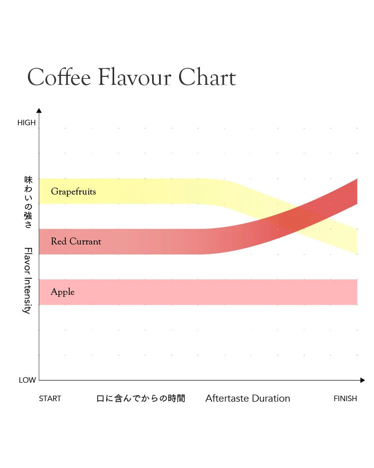 *new【Roast in Kyoto】Kenya Gatomboya AB [Light roast]