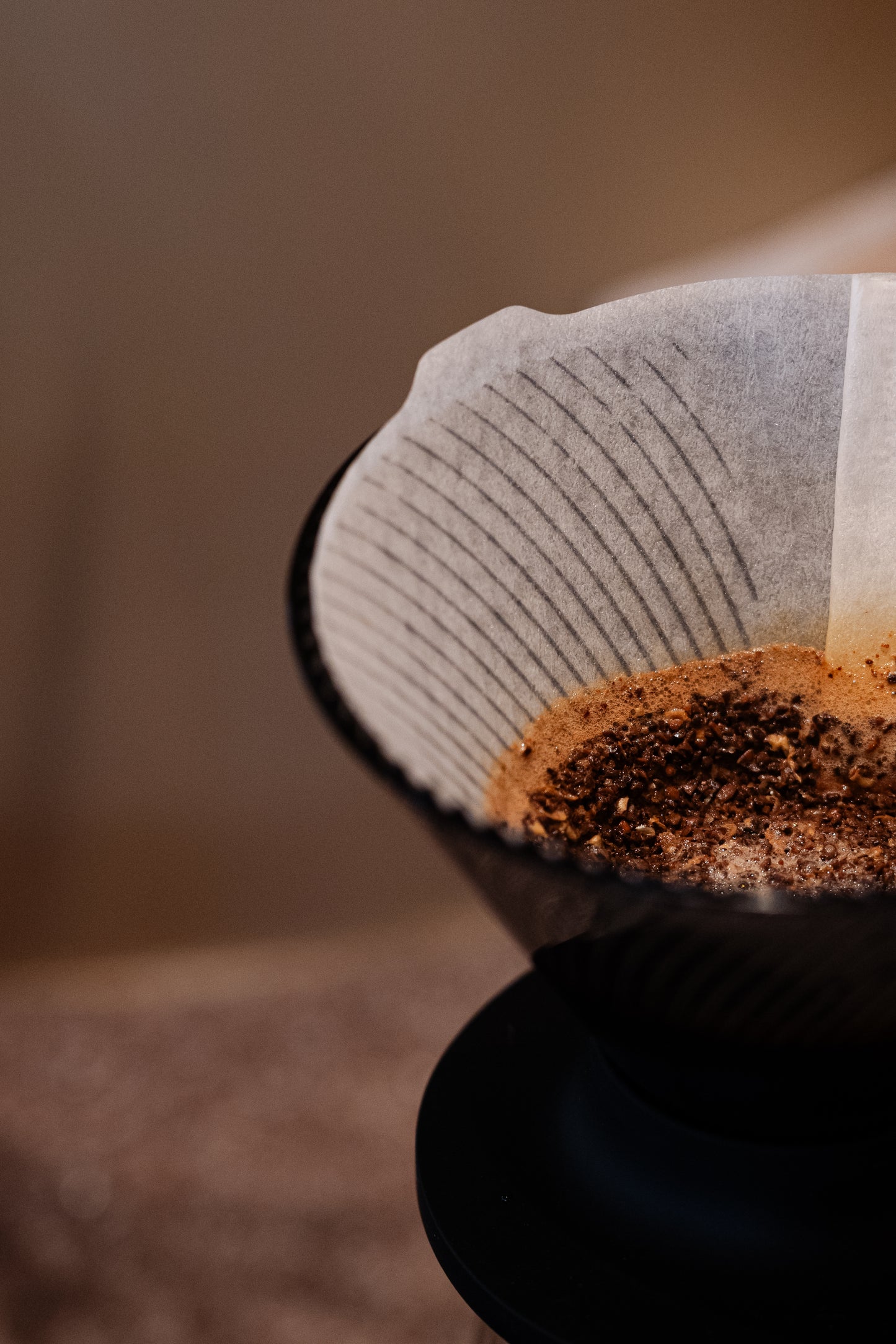 *new【Roast in Kyoto】[Premium] Colombia Las Margaritas Geisha [light roast]