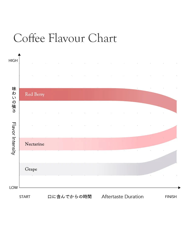 *new【Roast in Kyoto】Seasonal Blend Natsu Ake 2026 [Medium roast]