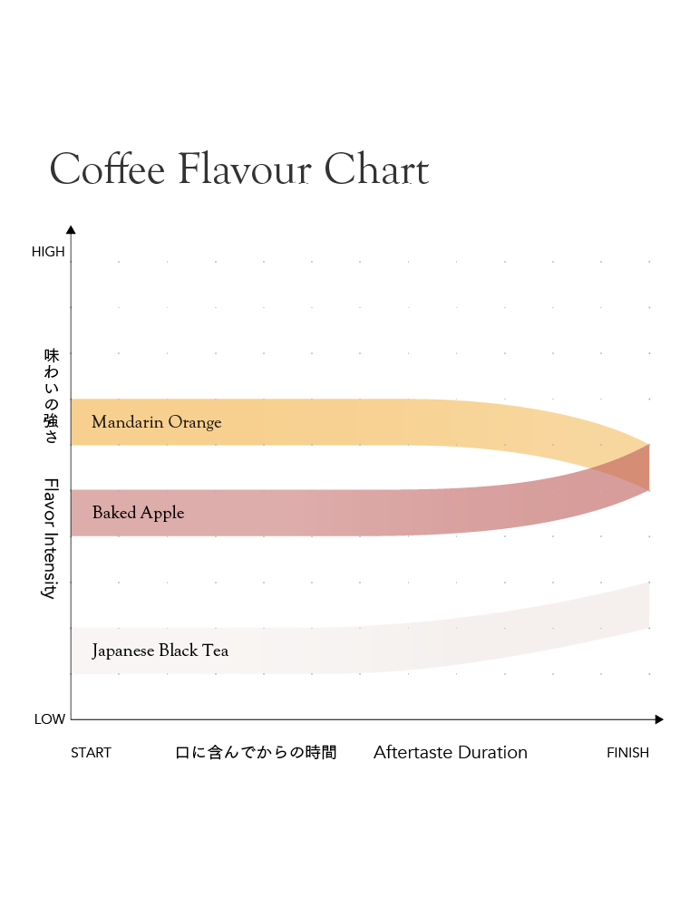 *new【Roast in Kyoto】Rwanda Nkara Soil Project Lot.1204[Medium-light roast]