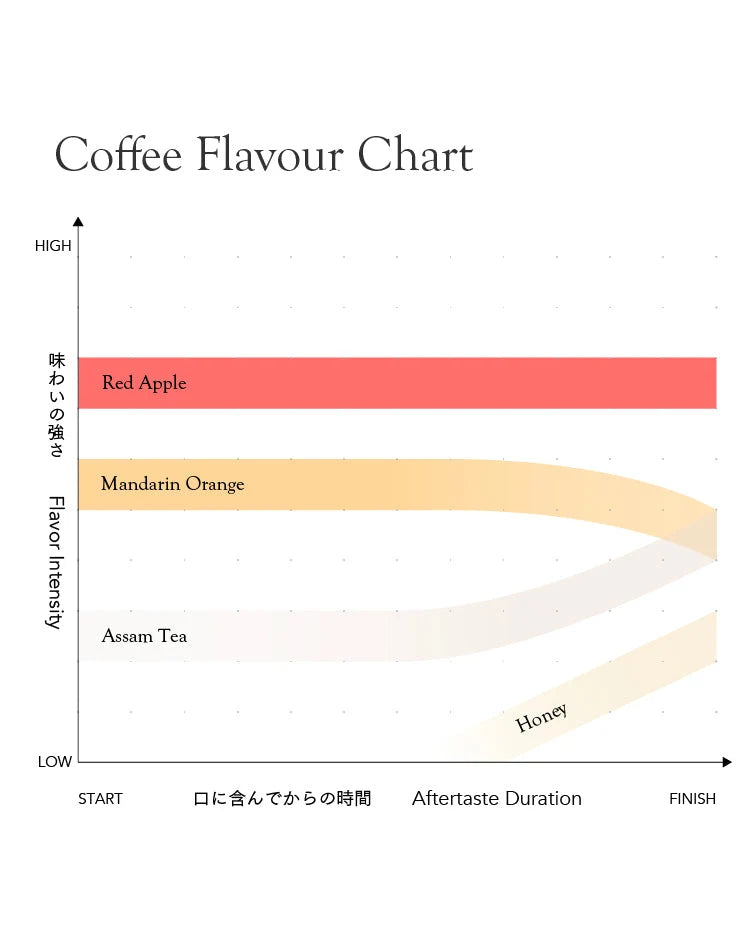*new【Roast in Kyoto】Rwanda Mbilima Soil Project Lot.0704 [Light roast]