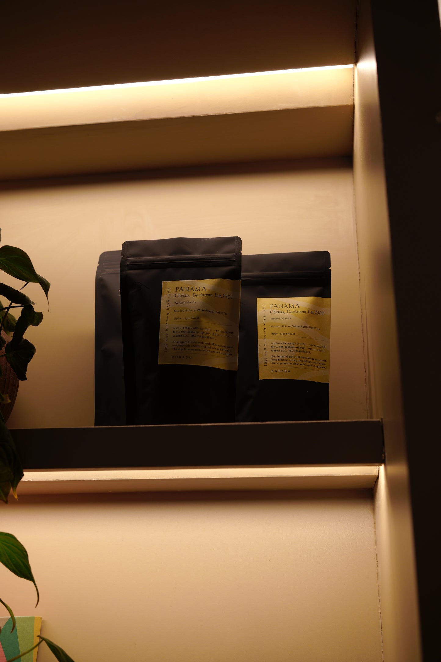 *new [Rare] PANAMA CHEVAS DARKROOM LOT 2501 [light roast]