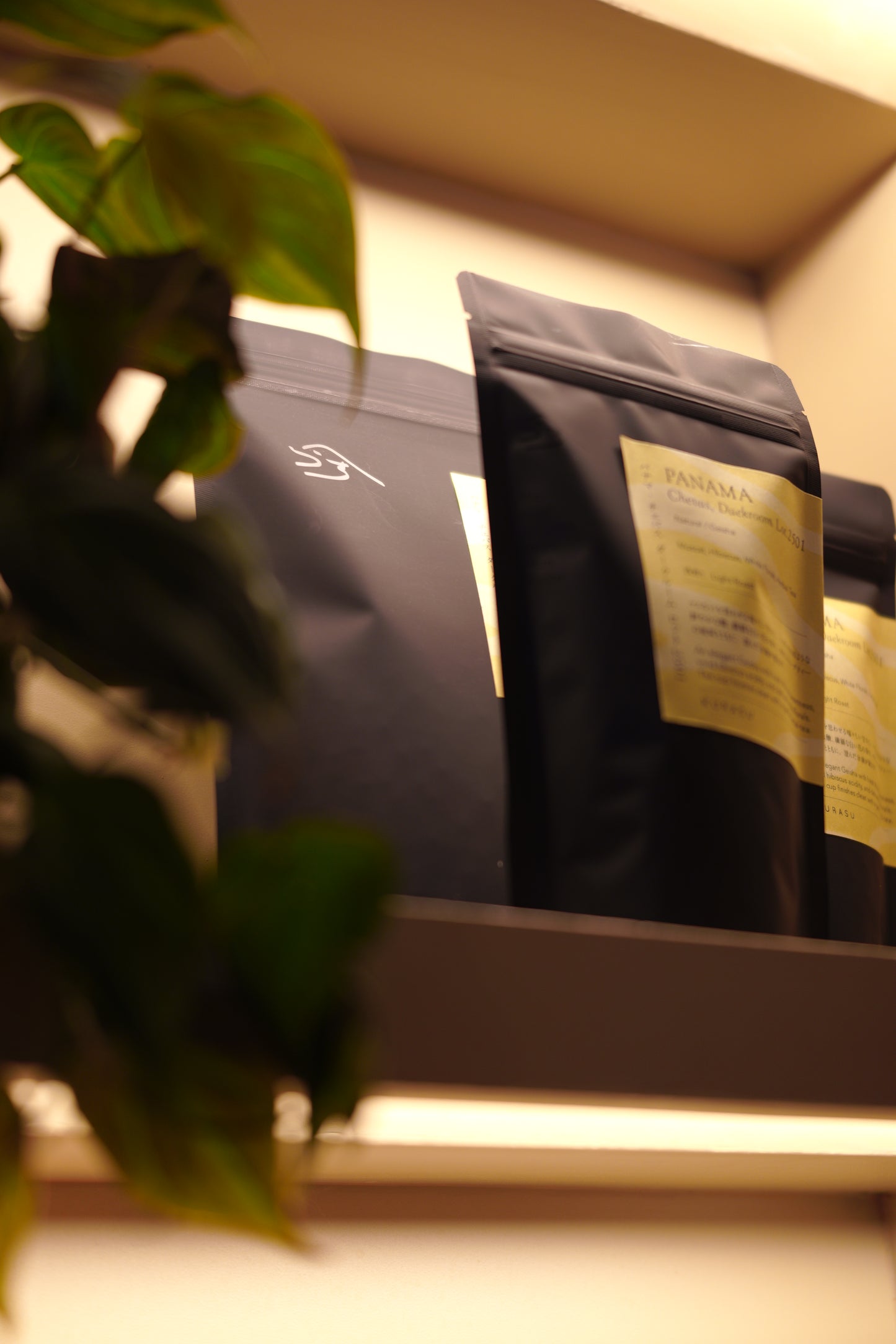 *new [Rare] PANAMA CHEVAS DARKROOM LOT 2501 [light roast]